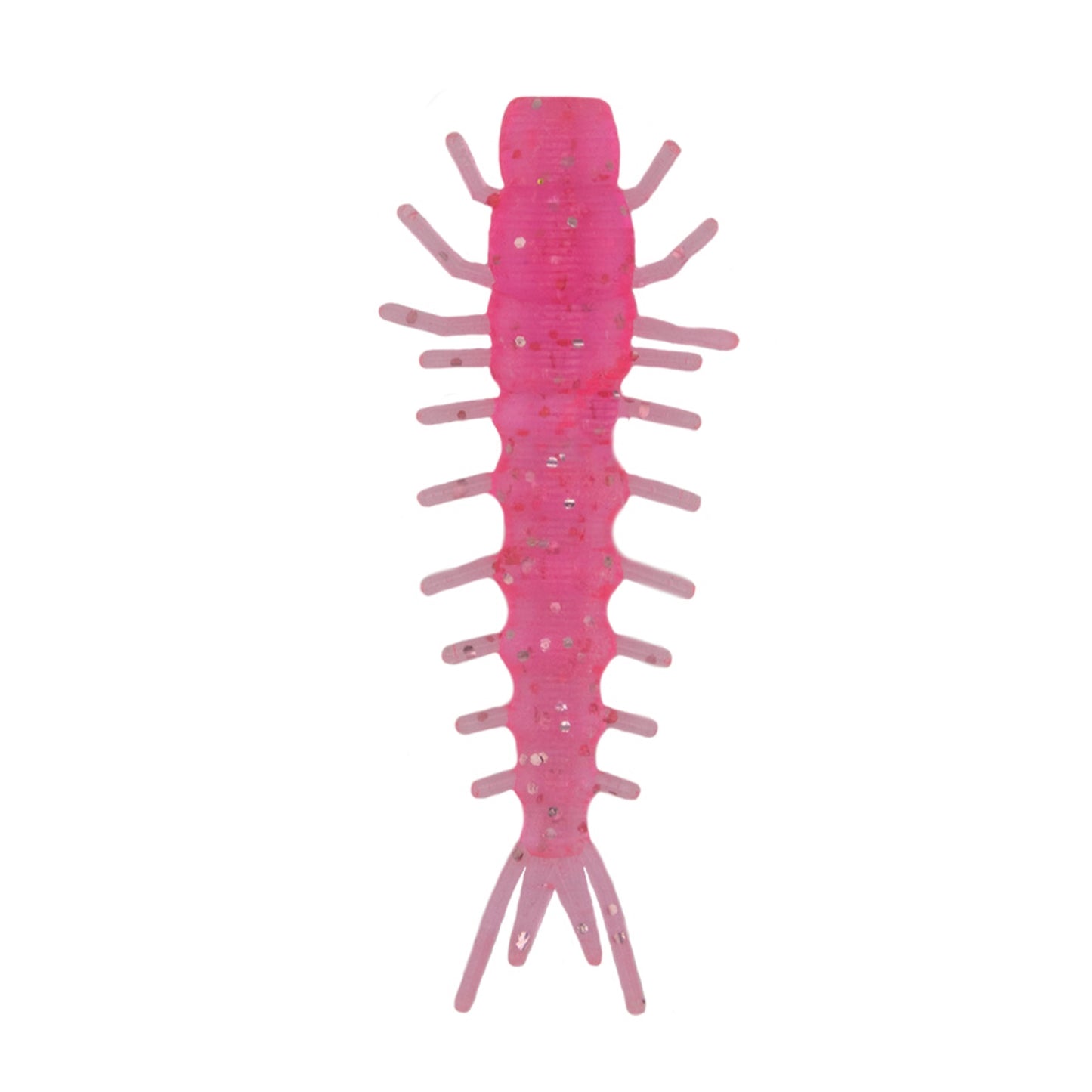 Carolina Pink Hellgrammite
