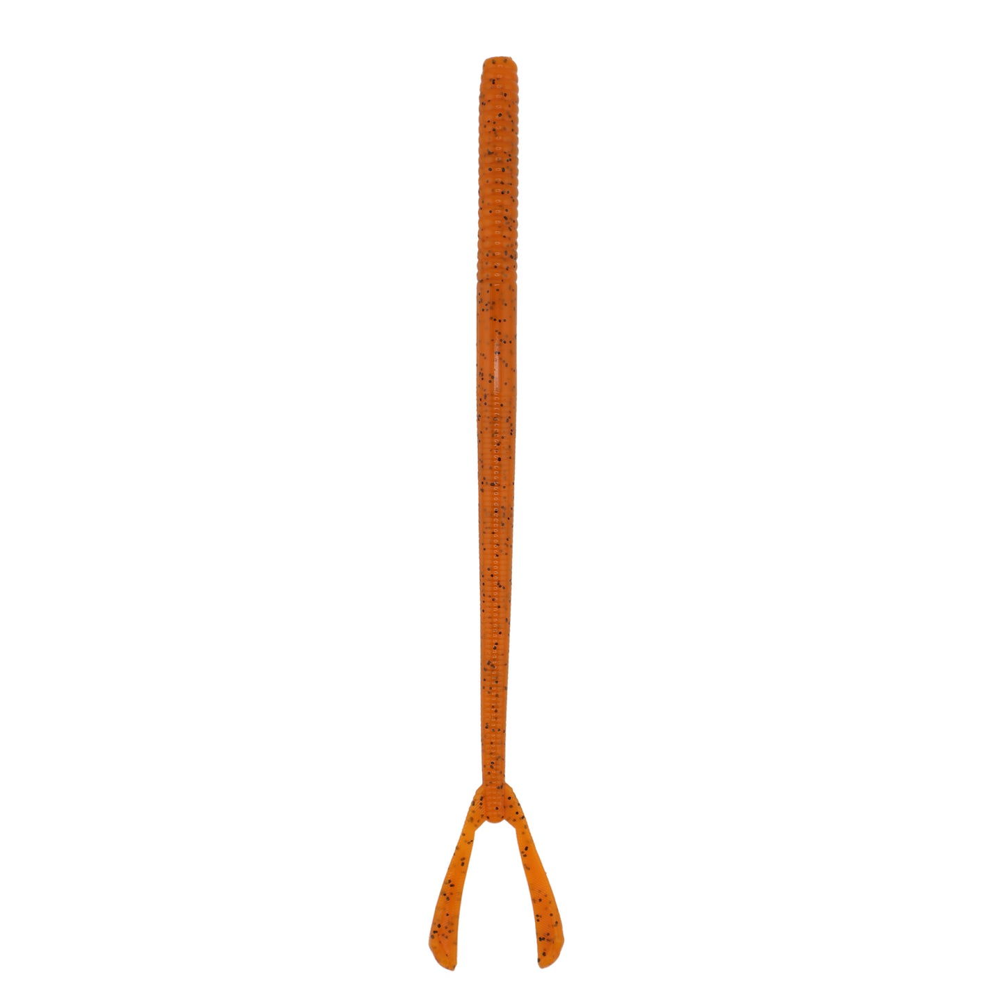 Cave Salamander Split Tail