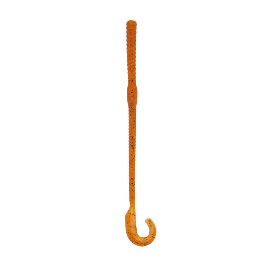 Cave Salamander Skinny Water Worm