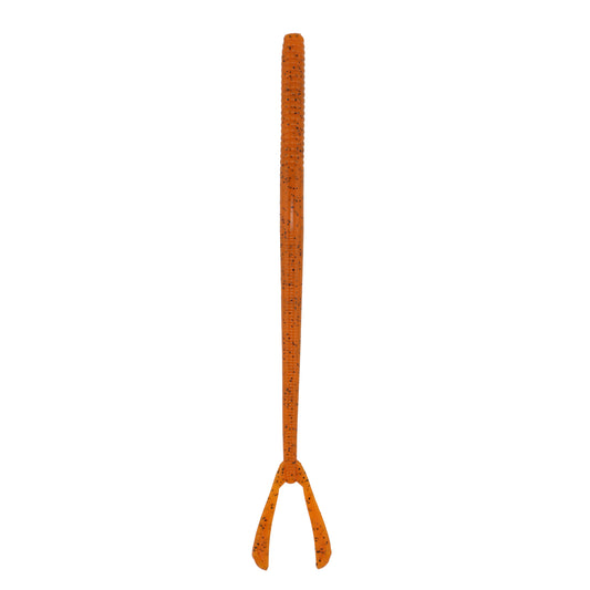 Cave Salamander Split Tail