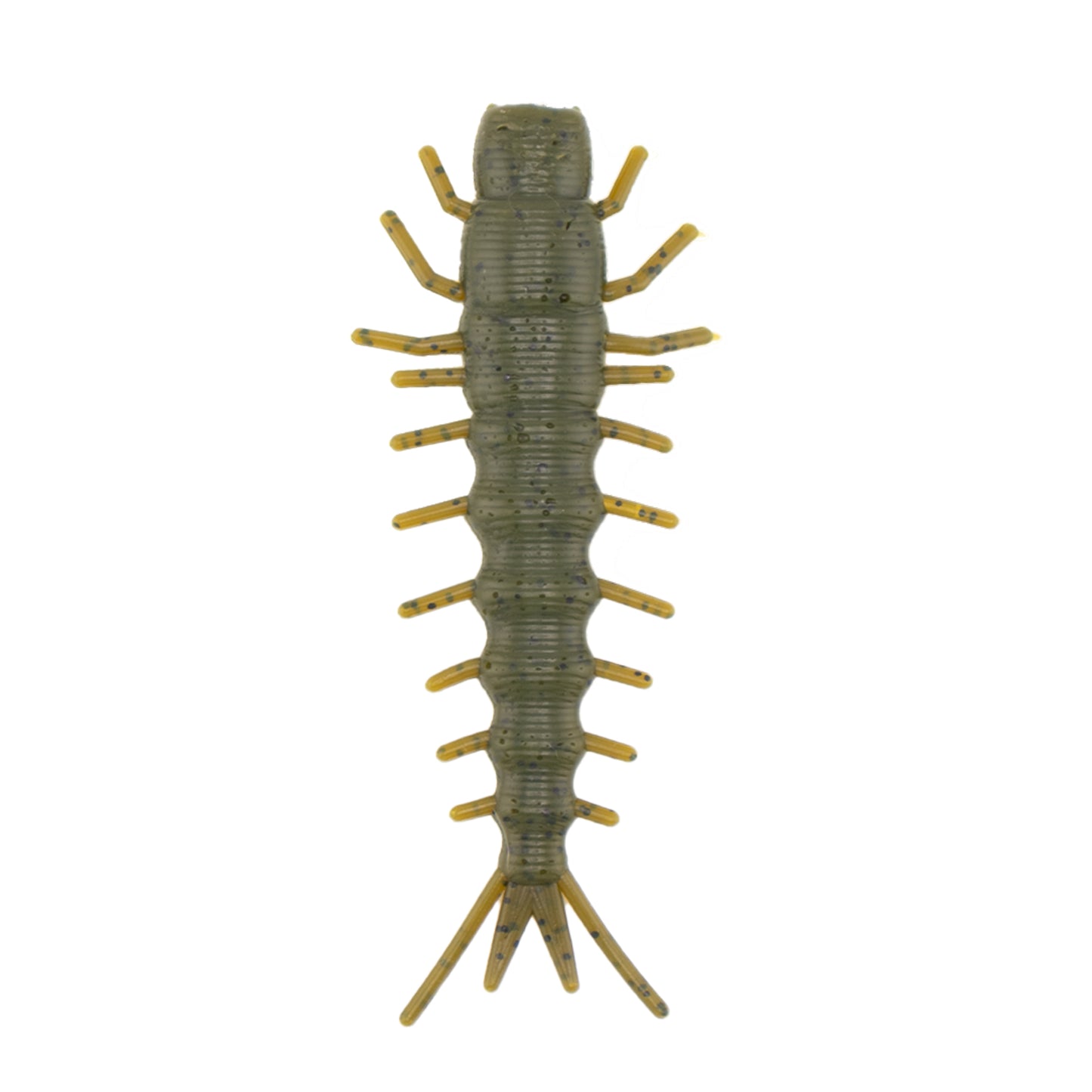 Green Pumpkin Hellgrammite